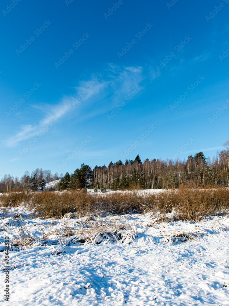 beautiful snowy winter landscape beautiful snowy winter landscape