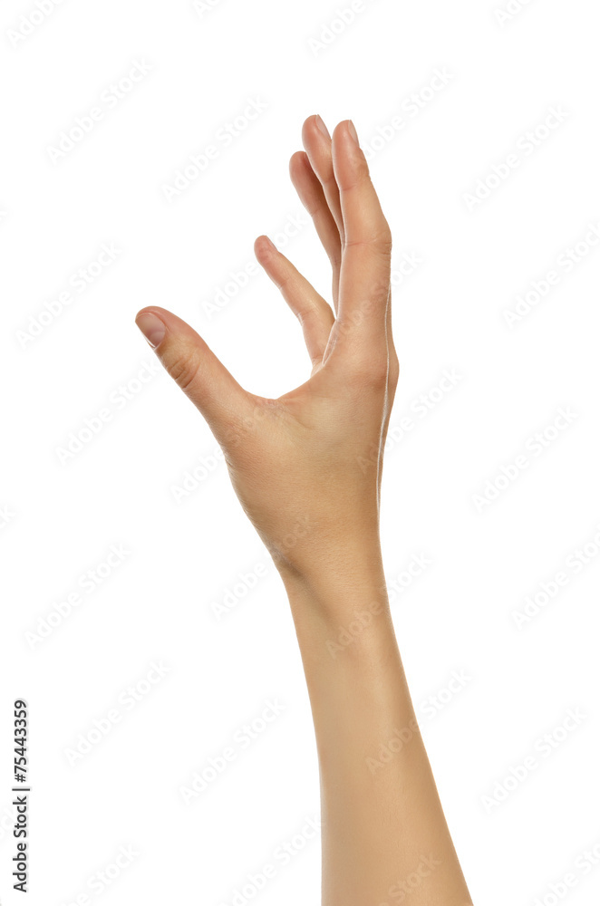 Beautiful woman hand holding or stretches. Beautiful woman hand holding or stretches.