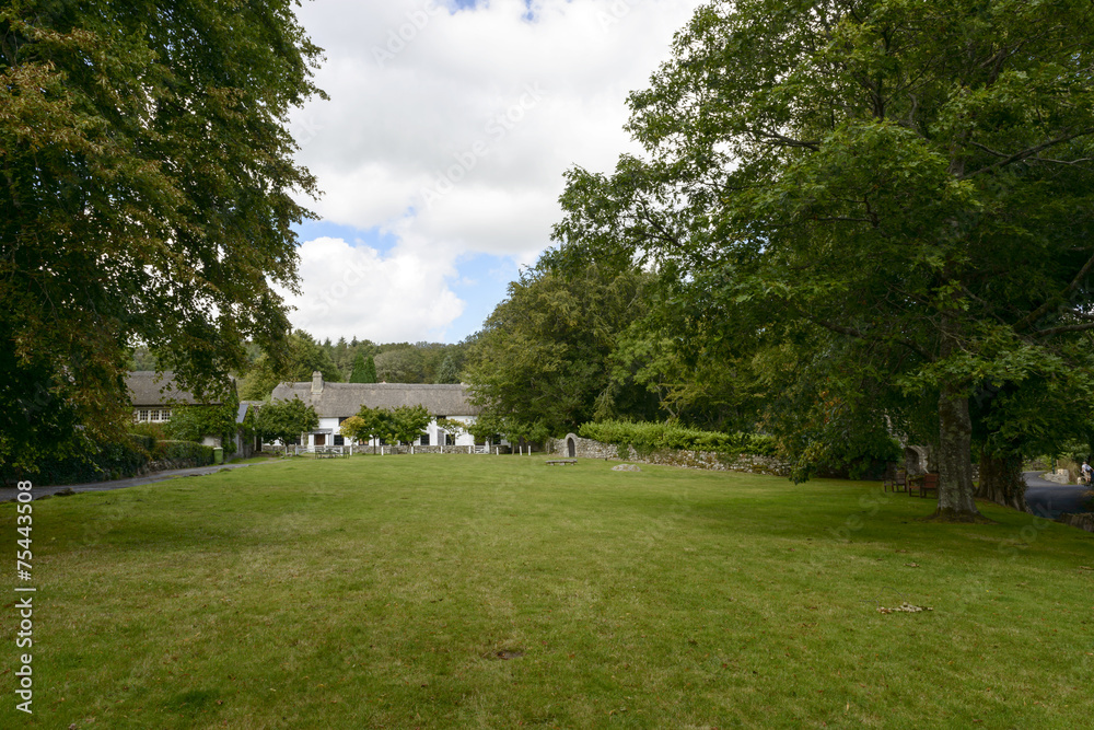 Obraz premium lawn at Manaton, Devon
