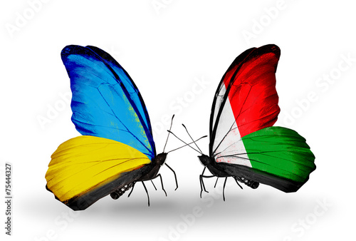 Two butterflies with flags Ukraine and Madagascar