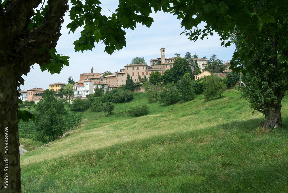 The Village of Neive in Piedmont
