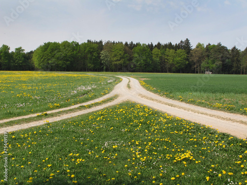 Feldwege photo