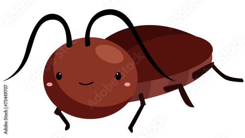 cockroach