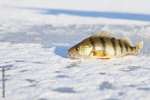 ice-fishing