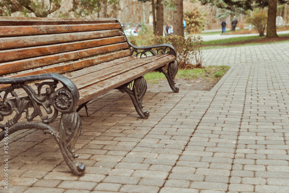 Empty wooden benches in the park Empty wooden benches in the park