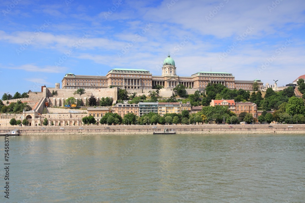 Budapest Castle view with Danube