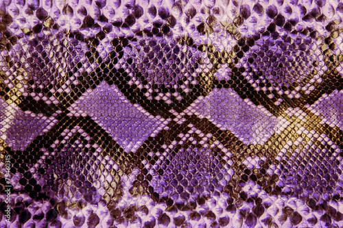 Fotografia Snake skin pattern background