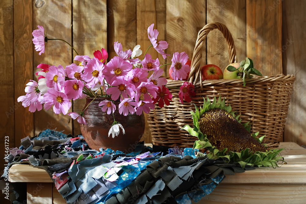 Obraz premium Космеи