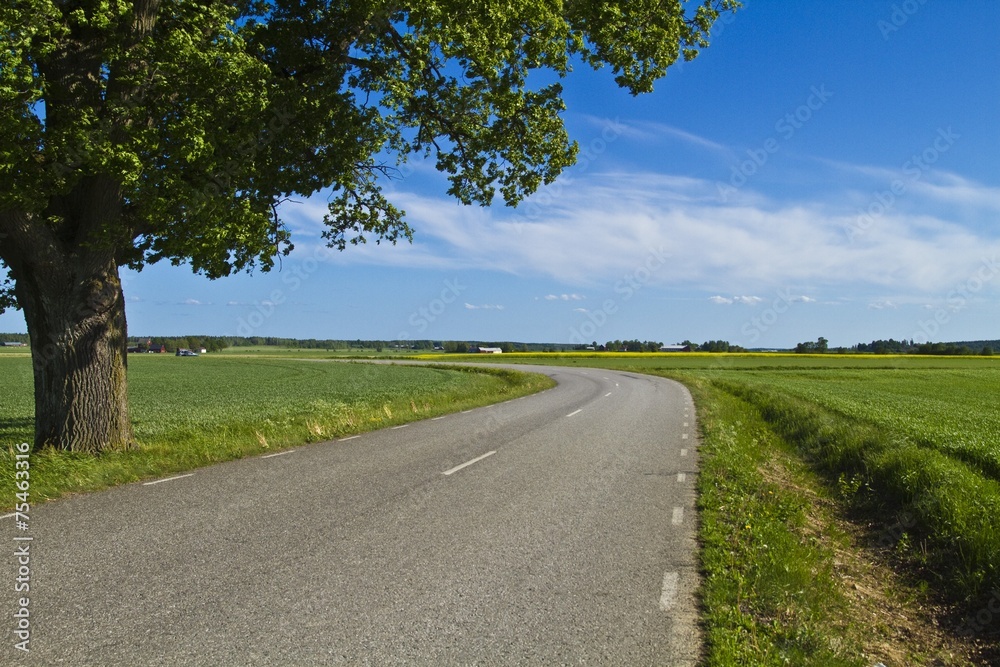 Country road in Sweden