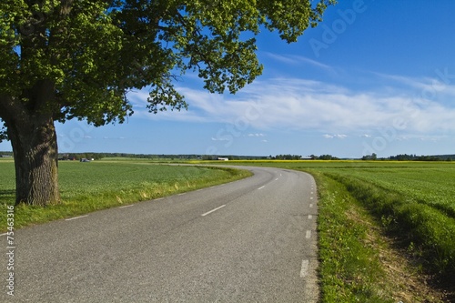 Country road in Sweden © michael715