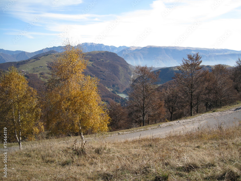 Fototapeta premium Diga