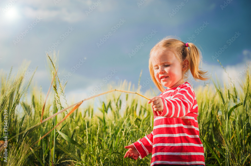 Little girl plays with between green grains Little girl plays with between green grains