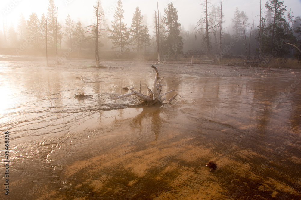 Obraz premium Yellowstone Nationalpark, Utah, USA