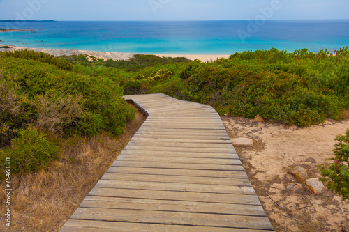 Mediterranean landscape 