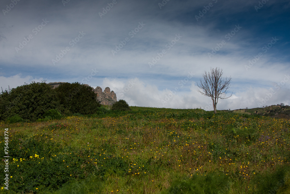 Fototapeta premium Typical Calabrian countryside hinterland
