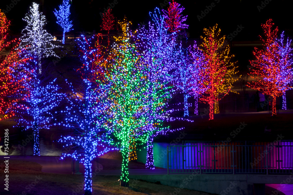 Naklejka premium Trees tightly wrapped in LED lights for the Christmas holidays r