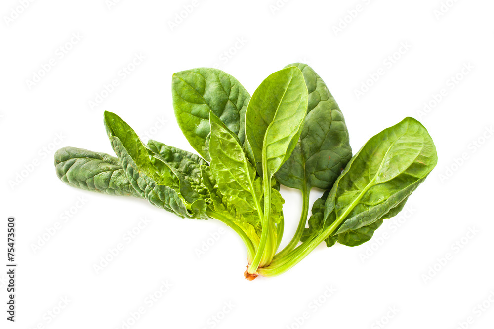 Spinach isolated on white background Spinach isolated on white background