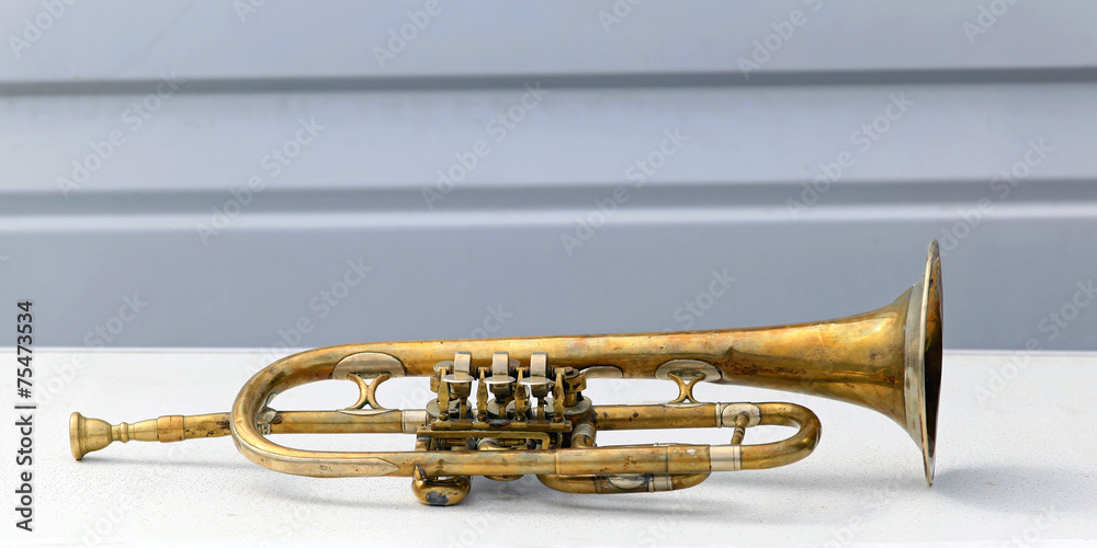Obraz premium Trumpet
