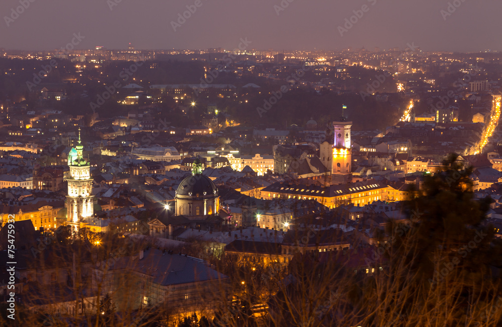 Bird view of Lviv, Ukraine