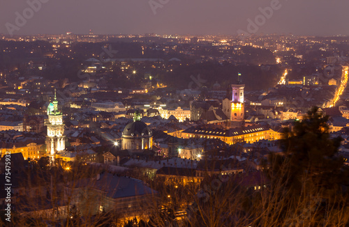 Bird view of Lviv  Ukraine