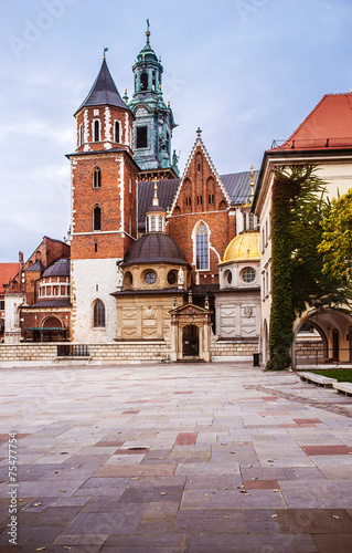 Wawel in Krakow, Poland #75477754