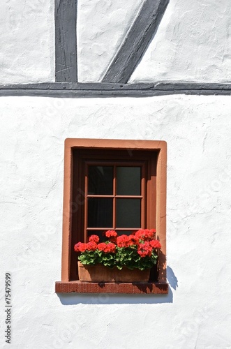 Fototapeta Naklejka Na Ścianę i Meble -  Geranien Fenster