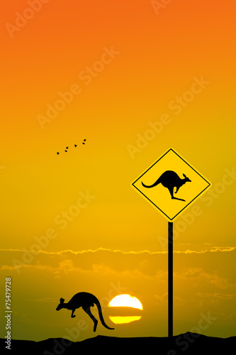 Kangaroo sign caution