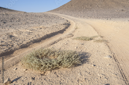 Vehicle tracks through an arid desert