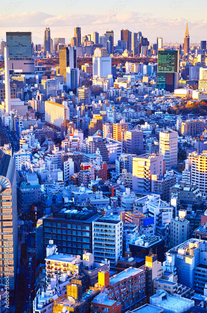 Naklejka premium 東京の新宿副都心の夕景