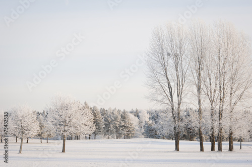 winter landscape © Carina Hallin
