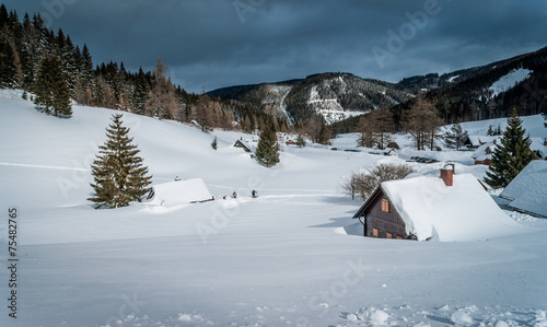 Winter landscape - village covered with snow. Styria,Austria.