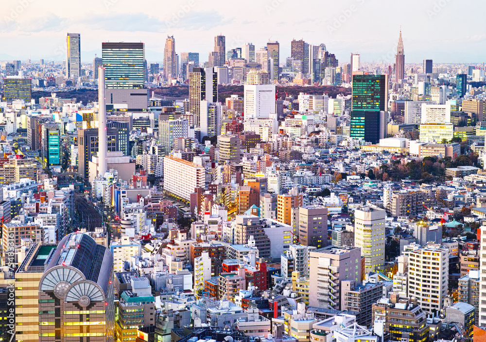 Naklejka premium 東京の新宿副都心