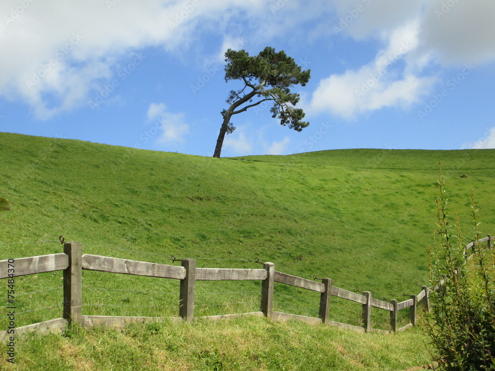 Arbre et clôture