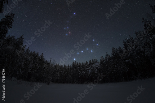 Beautiful night winter landscape with the stars