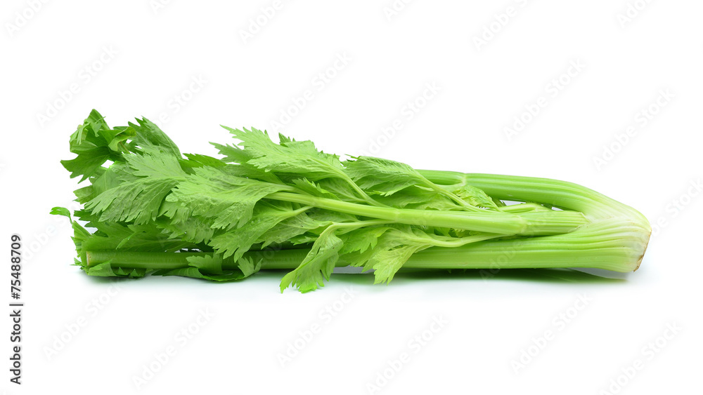 Fresh green celery isolated on white
