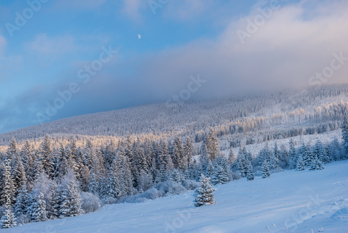 Beskidy zimą