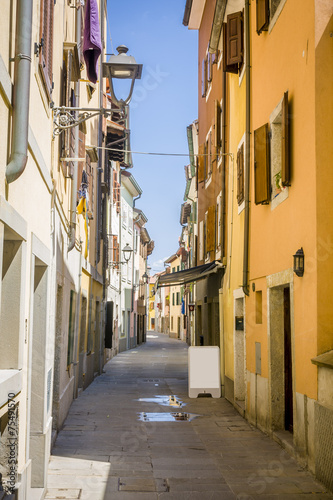amazing view on a city center of Muggia  © anilah