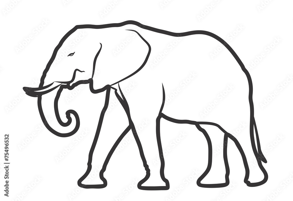 Obraz premium Слон