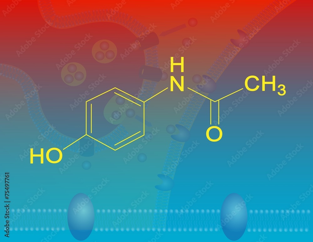 Paracetamol molecular structure Paracetamol molecular structure