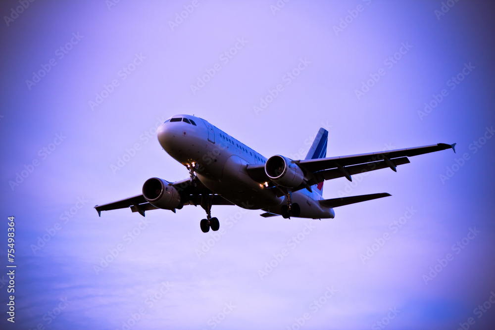 Fototapeta premium Airplane landing, Frankfurt, Germany