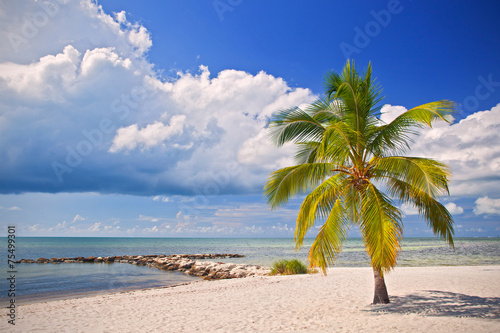 Fototapeta Naklejka Na Ścianę i Meble -  Summer at a tropical paradise in Florida Key West
