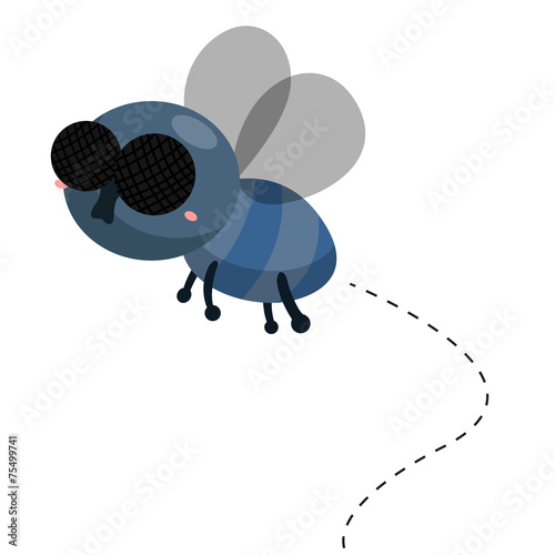 fly