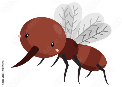 mosquito