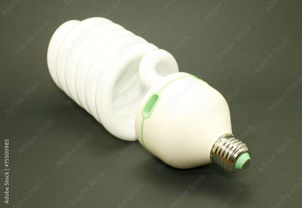 energy efficient light bulb isolated energy efficient light bulb isolated