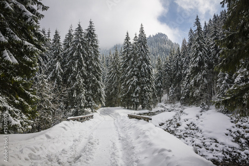 Winter trail in Koscieliska valley, Tatry Mountains, Poland