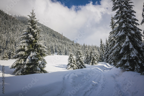 Winter trail in Koscieliska valley, Tatry Mountains, Poland © anilah