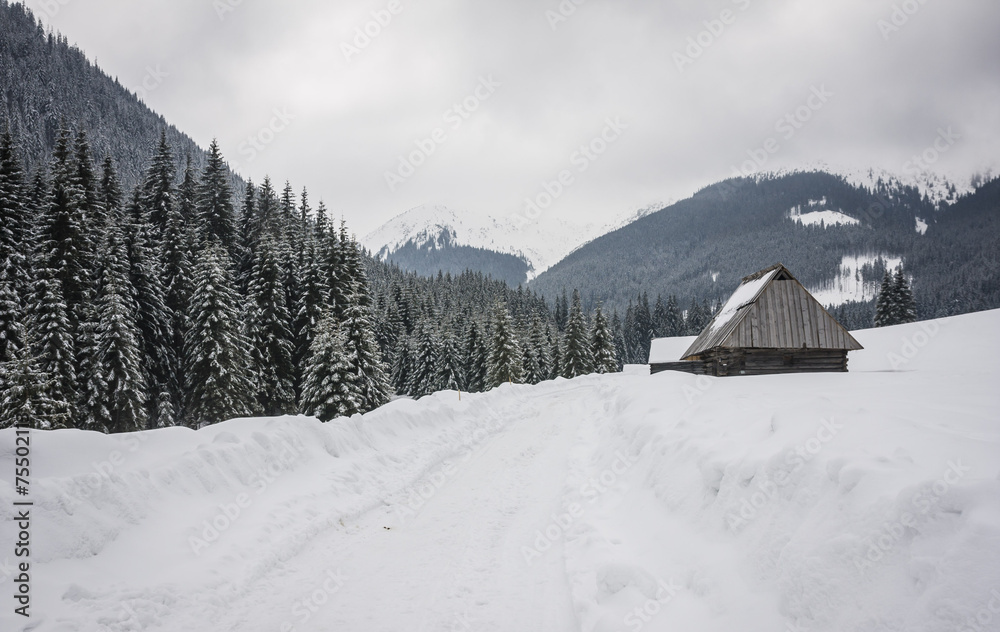 Winter road with snow in Chocholowska valley - Tatra Mountains Winter road with snow in Chocholowska valley - Tatra Mountains