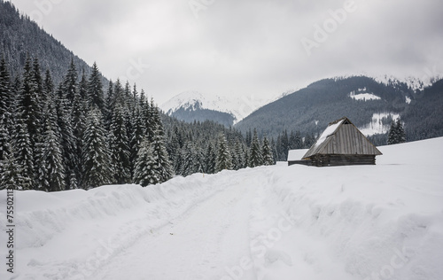 Winter road with snow in Chocholowska valley - Tatra Mountains © anilah