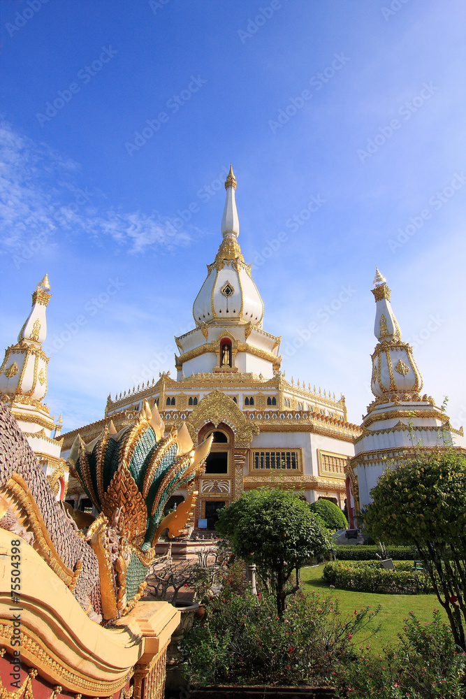 Fototapeta premium temple thai