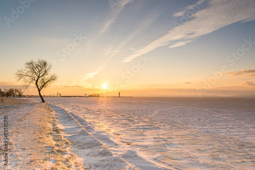 Obraz na płótnie Winter landscape w salonie